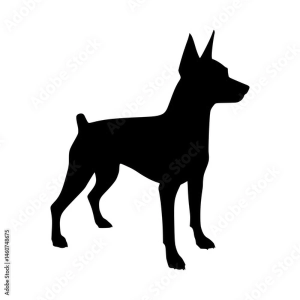 Obraz Silhouette Dog - Doberman Pointer