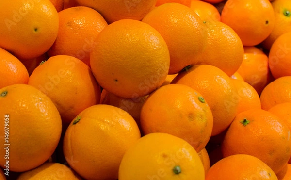 Obraz Oranges in the basket