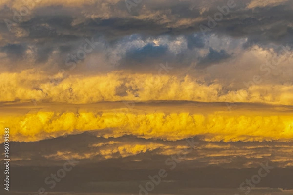 Fototapeta A layered cloud formation is brightly lit by the afternoon sun.