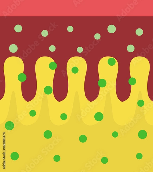 Obraz Normal small intestine. Cross section part.