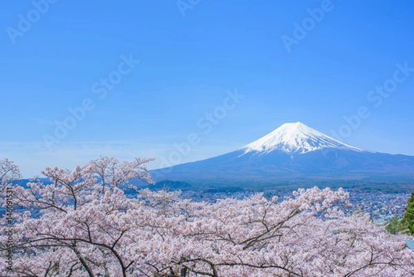 Fototapeta 富士山と桜