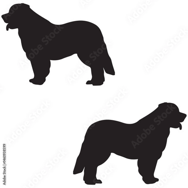 Obraz Leopard silhouette, Leopard vector, Leopard illustration, silhouette, set icon, silhouette, Leopard