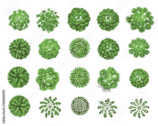 Fototapeta top-down view of  landscape plan and architecture layout drawing, a collection of various green shrubs and bushes,  mix of rounded, spiky, and irregular forms