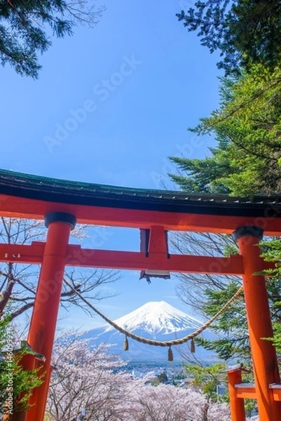 Fototapeta 鳥居と富士山