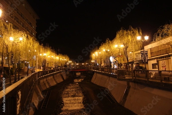 Obraz 夜の下呂温泉の街並み