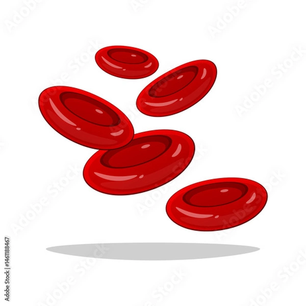 Fototapeta Red blood cells vector isolated on white background.