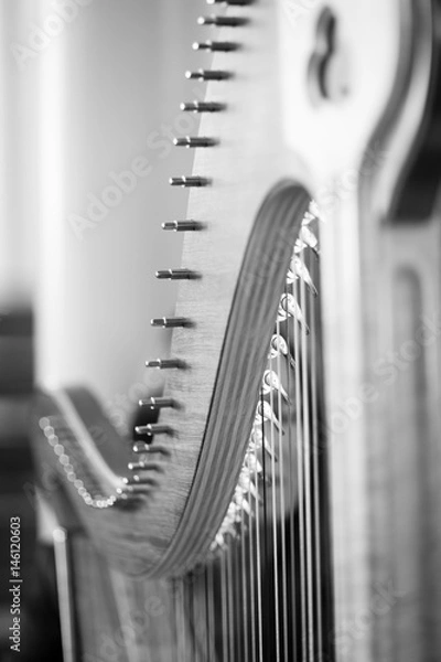Obraz Harp