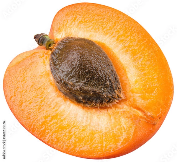 Obraz Apricot half png. Apricot isolated on white or transparent background. Cut apricot slice with kernel  no background. Full depth of field. Transparent png.