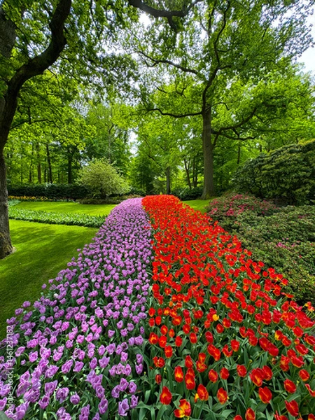 Obraz beautiful flowers on a green field
