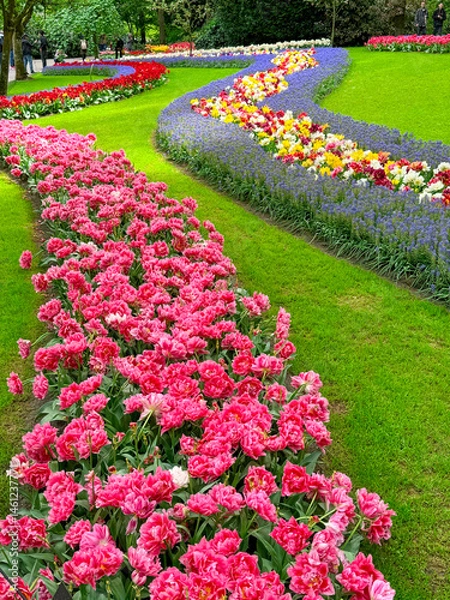 Obraz beautiful flowers on a green field