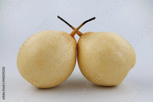 Fototapeta Two pears lie on a white background. Snow pear.