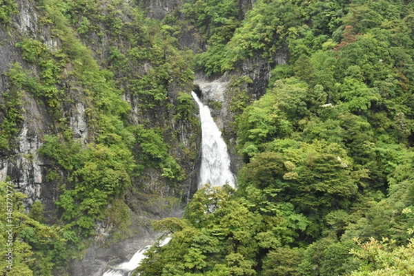 Fototapeta 不動七重の滝