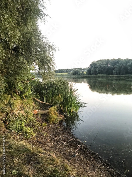 Fototapeta A serene riverside scene at dusk with lush greenery and tall reeds along the riverbank. A fishing rod is placed by the calm water. Ideal for nature, fishing, and relaxation-themed projects.