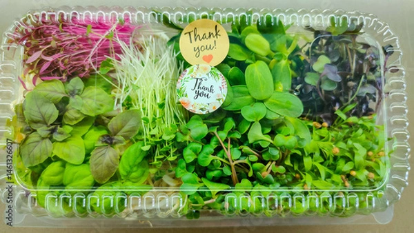 Fototapeta Colorful microgreens assortment in clear plastic container with thank you stickers