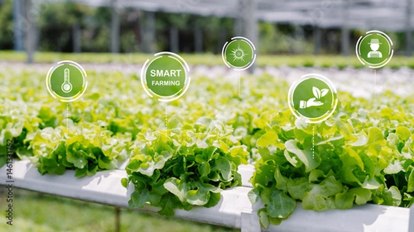 Obraz Innovative Smart Farming Techniques for Modern Agriculture Practices