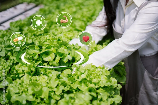 Obraz Person Tending to Vibrant Lettuce in a Sustainable Greenhouse Setting