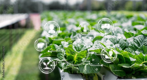 Obraz Innovative Farming Technology and Smart Agriculture Solutions