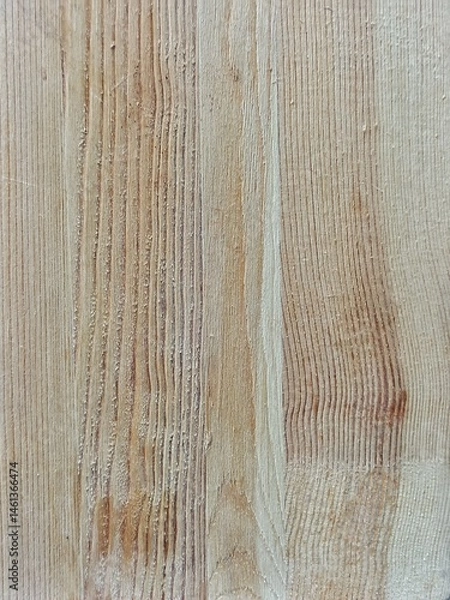 Obraz The wood texture background
