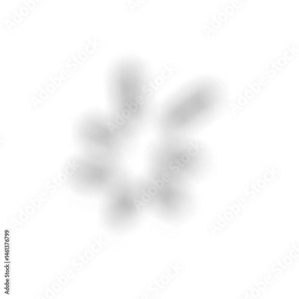 Obraz Decorative Black Shadow