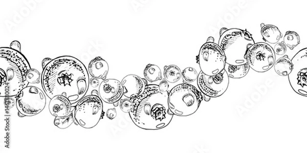 Fototapeta Lingonberry cranberry vector hand drawn in ink, scattered ripe forest berry group, dew drops, bearberry teaberry. Seamless banner isolated illustration. Home preserves, textile stationery, recipe book