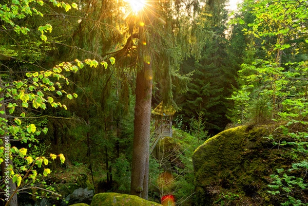 Fototapeta Massive moss-covered rocks in a dense forest and a fabulous gazebo in Bavaria. Lush green moss, ancient stones, and mysterious atmosphere create an enchanting natural scene. view from above.