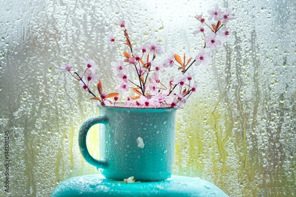 Fototapeta Delicate spring blossom branch with soft pink flowers in a mug against a rainy window. Nature awakening, romantic seasonal atmosphere, floral tenderness.