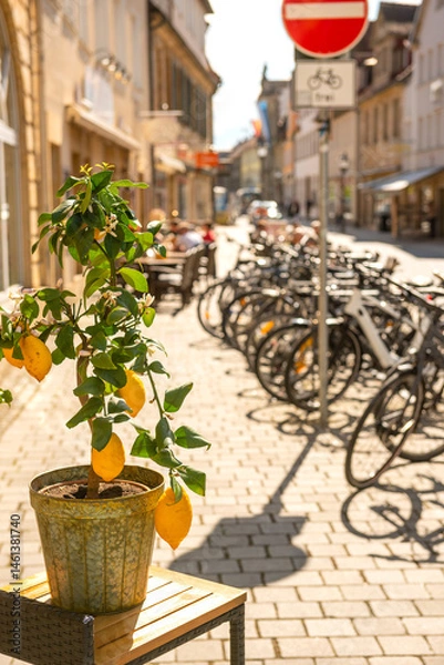 Fototapeta Streets of an old European city with buildings of ancient architecture and a flowerpot with lemons on a sunny day. Germany. Bayreuth.