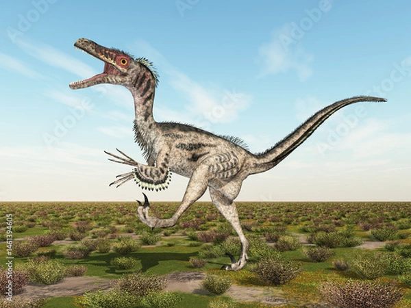 Fototapeta Dinosaurier Velociraptor in einer Landschaft