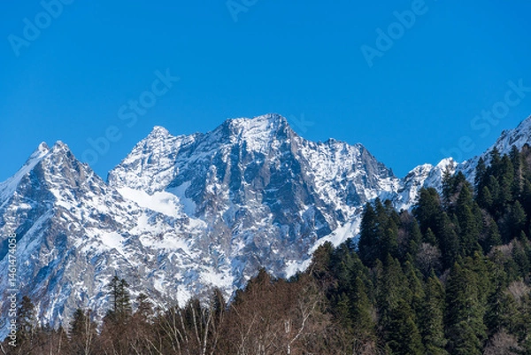 Fototapeta Karachay-Cherkessia. Dombay 2025. Majestic snow-capped mountain range towers above forested valley, showcasing nature's grandeur and serenity under clear blue sky. Nature concept for design.