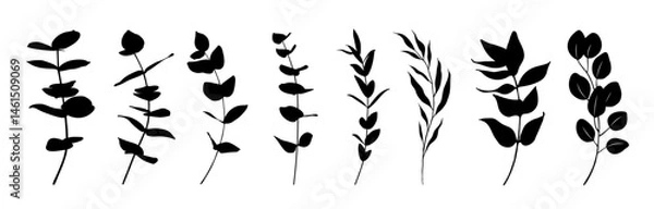 Fototapeta Set of hand drawn vector eucalyptus leaves, branches. Floral Line Art.. Collection of botanical black silhouette element vector. Black and white floral bouquet in minimalistic flat style.