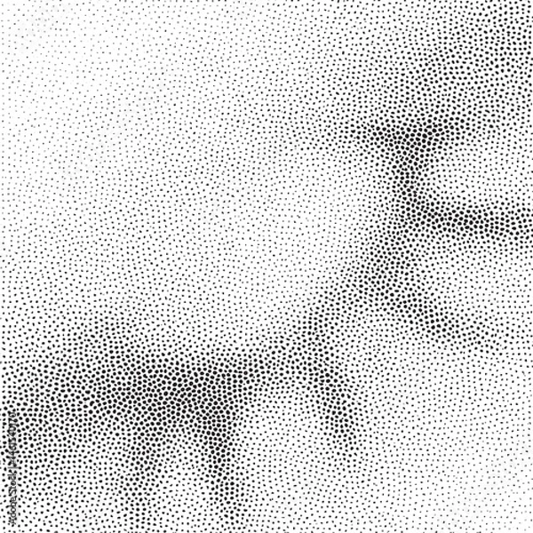 Fototapeta A textured of numerous small dark dots against a white background.