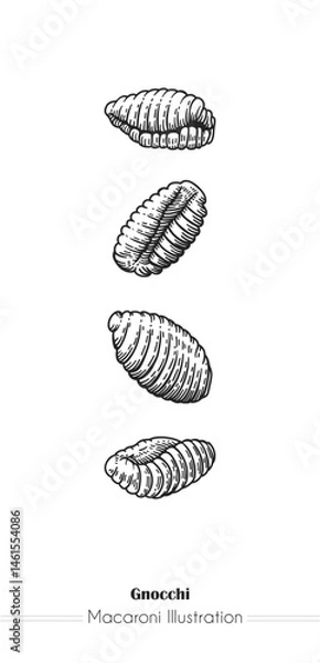 Fototapeta Gnocchi Italian Pasta. Vector hand-drawn sketch of food. Vintage style engraving. etching. Line art