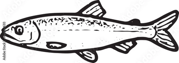 Fototapeta A hand-drawn black-and-white illustration of a herring with a streamlined shape. Perfect for fishing themes, wildlife art, or oceanic designs