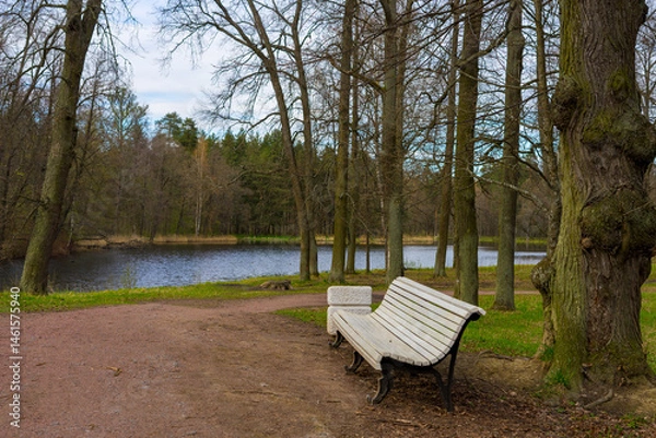 Fototapeta bench in the park