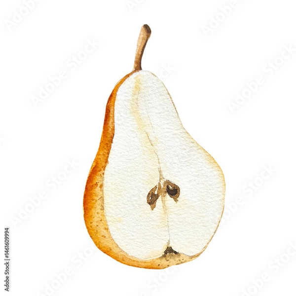 Fototapeta Watercolor illustration of a sliced pear, perfect for recipes and food-related projects