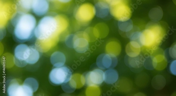 Obraz Summer light filters through a canopy creating a dreamy bokehfilled forest scene