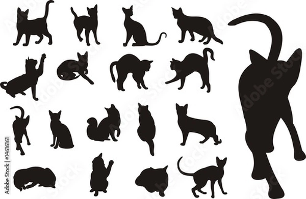 Obraz Cats collection