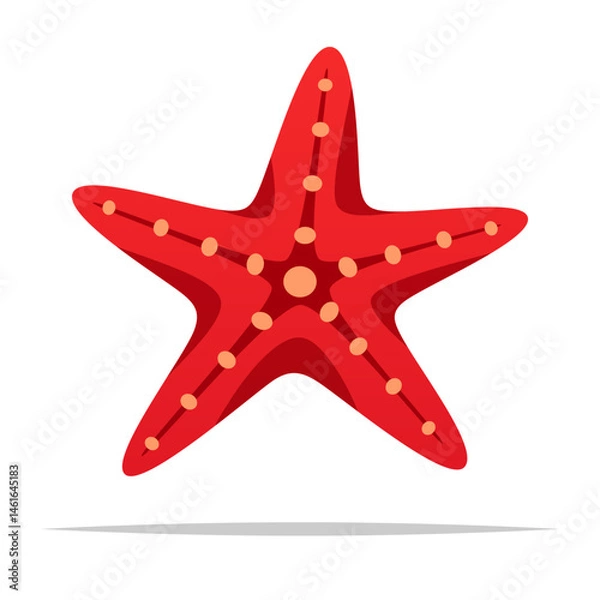 Obraz Red starfish vector isolated illustration