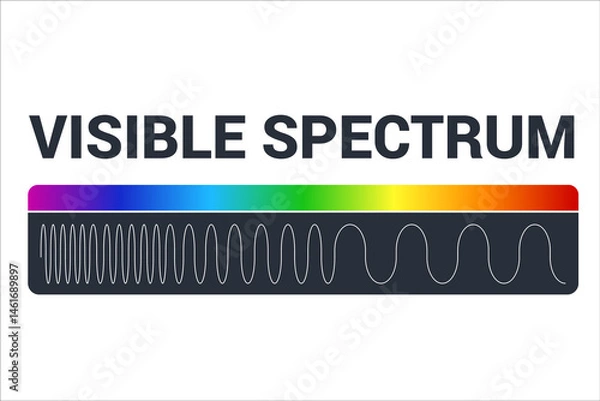 Obraz Visible light diagram. Color electromagnetic spectrum, light wave frequency. Educational school physics background. Illustration of spectrum diagram rainbow, infrared and electromagnetic