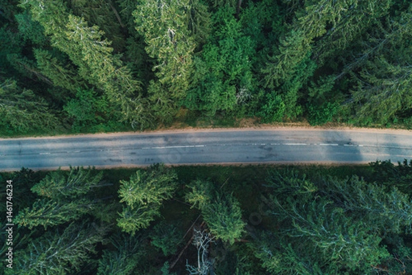 Fototapeta Aerial view of a winding road through a dense forest in the morning light