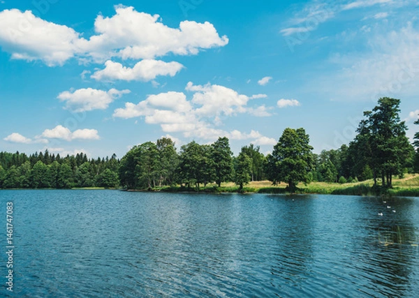 Fototapeta Calm lake surrounded by trees under a bright blue sky with fluffy clouds during a sunny day in the countryside