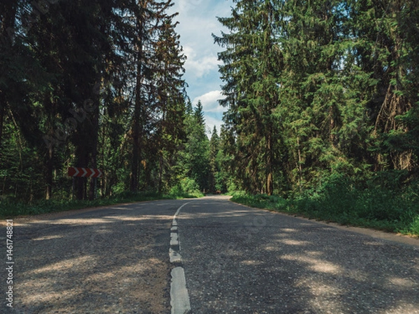 Fototapeta Long winding road surrounded by tall evergreen trees under a bright blue sky on a sunny day