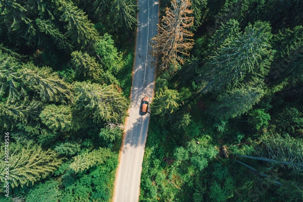 Fototapeta Aerial view of a car driving along a winding road through a lush green forest in daylight
