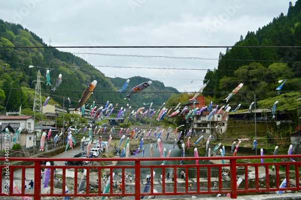 Obraz 杖立温泉の鯉のぼり祭り