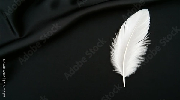 Fototapeta Elegant white feather on black fabric background - minimalist design