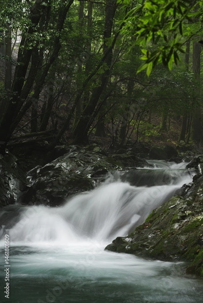 Fototapeta 滑沢渓谷