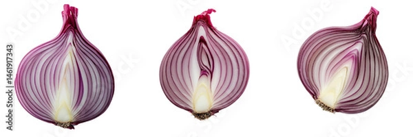 Obraz A set of top-view red onion slices with crisp layered rings and vivid color. Isolated on transparent Background