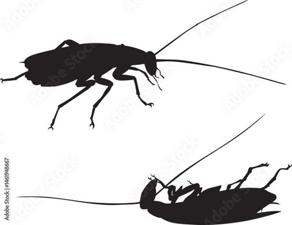 Obraz Cockroach_Pest control.eps