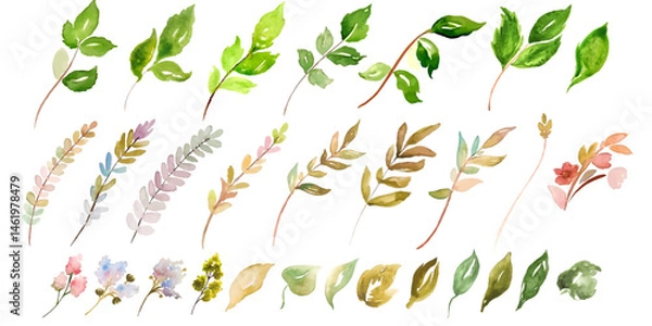 Fototapeta Set of leaves, branches, flowers in watercolour style in vector.