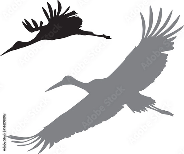 Obraz Vector silhouettes_Crane.eps